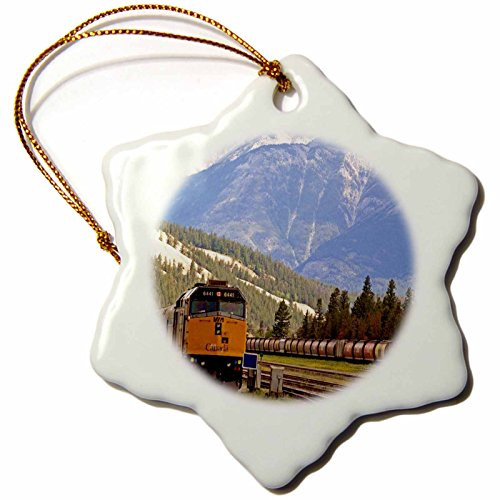 3dRose ORN_56137_1 Train Thru The Canadian Rockies Snowflake Porcelain Ornament, 3-Inch