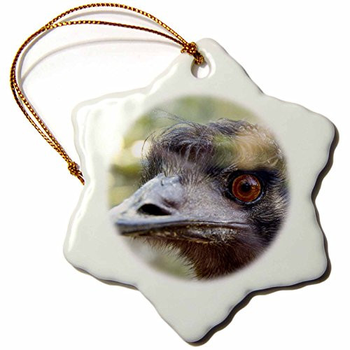 3dRose ORN_76226_1 Emus Face, Taronga Zoo, Sydney, NSW, Australia AU01 IHO0000 Inger Hogstrom Snowflake Porcelain Ornament, 3-Inch
