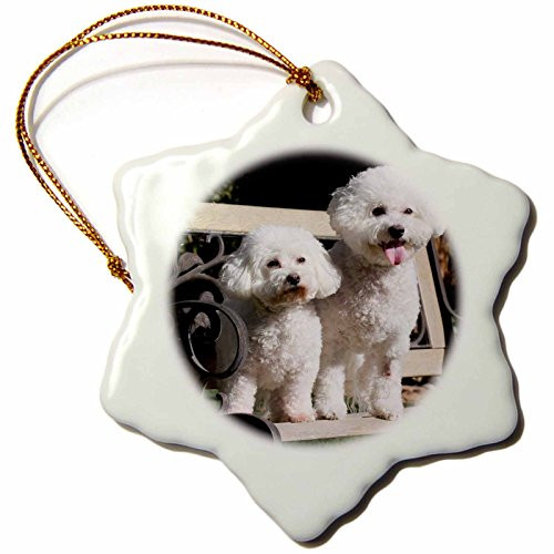 3dRose orn_88774_1 Two Bishon Frise Dog US05 ZMU0060 Zandria Muench Beraldo Snowflake Porcelain Ornament, 3-Inch 3dRose orn_88774_1 Two Bishon Frise Dog US05 ZMU0060 Zandria Muench Beraldo Snowflake Porcelain Ornament, 3-Inch