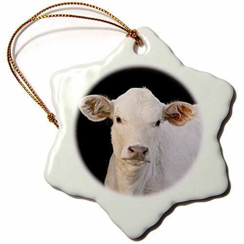 3dRose orn_94511_1 Charolais Calf Cow Welder Ranch Texas Maresa Pryor Snowflake Decorative Hanging Ornament, Porcelain, 3-Inch