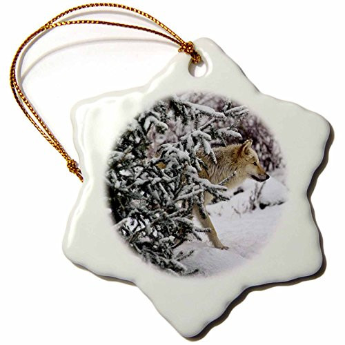 3dRose orn_100276_1 Rocky Mountain Wolf 2 Snowflake Porcelain Ornament, 3-Inch