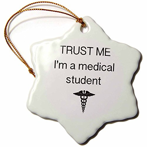 3dRose ORN_110017_1 Trust Me I'm a Medical Student Snowflake Ornament, 3-Inch, Porcelain