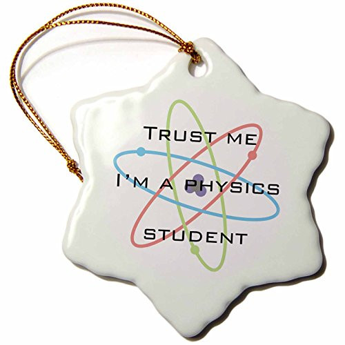 3dRose LLC orn_123061_1 Porcelain Snowflake Ornament, 3-Inch, "Trust Me I'm a Physics Student/Science/Student"