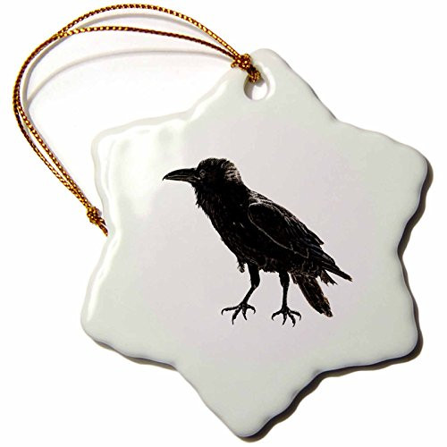 3dRose orn_127523_1 Raven Snowflake Porcelain Ornament, 3-Inch