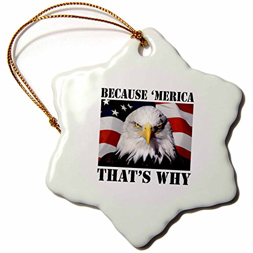 3dRose orn_149767_1 Because Merica That's Why. American Flag with Eagle-Snowflake Ornament, 3-Inch, Porcelain 3dRose orn_149767_1 Because Merica That's Why. American Flag with Eagle-Snowflake Ornament, 3-Inch, Porcelain