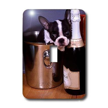 3dRose lsp_3113_1 Boston Terrier Satine Single Toggle Switch
