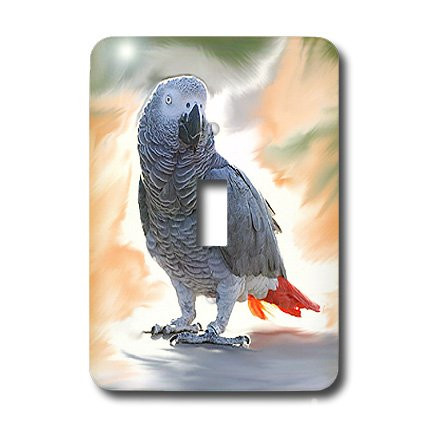 3dRose lsp_4030_1 African Grey Parrot Single Toggle Switch