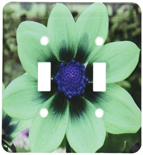 3dRose lsp_5998_2"Light Green Cosmos Flower" Double Toggle Switch Multicolor