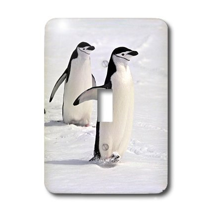 3dRose LLC lsp_10508_1 Chinstrap Penguins At Aitcho Islands Single Toggle Switch