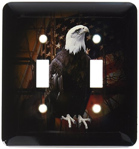 3dRose lsp_11602_2 Bald Eagle with American Flag Double Toggle Switch