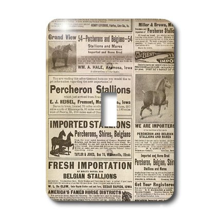 3dRose Lsp_12368_1 1913 Vintage Horse Ads Single Toggle Switch
