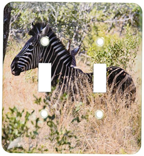 3dRose LLC lsp_20131_2 South African Zebra in The Grass Double Toggle Switch