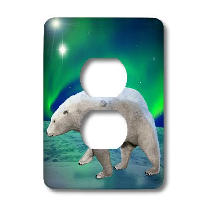 3dRose lsp_20903_6 Polar Bear Aurora 2-Plug Outlet Cover