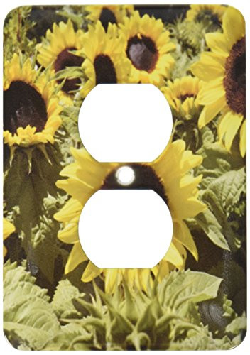 3dRose lsp_22692_6 Sunflowers 2-Plug Outlet Cover