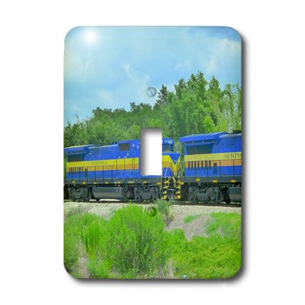 3dRose LLC lsp_23138_1 Southern Railroad, Single Toggle Switch