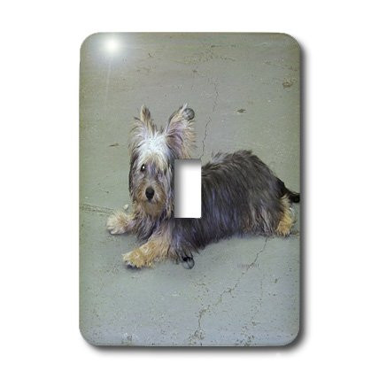 3dRose Lsp_23805_1 Yorkie Single Toggle Switch