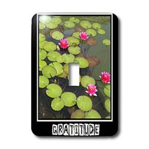 3dRose lsp_29477_1 Zen Gratitude Lily Pads and Lotus Flowers Spirituality Motivational Toggle Switch Multi-Color