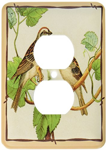 3dRose lsp_39035_6"Framed Tan and Brown Birds In Tree" 2 Plug Outlet Cover