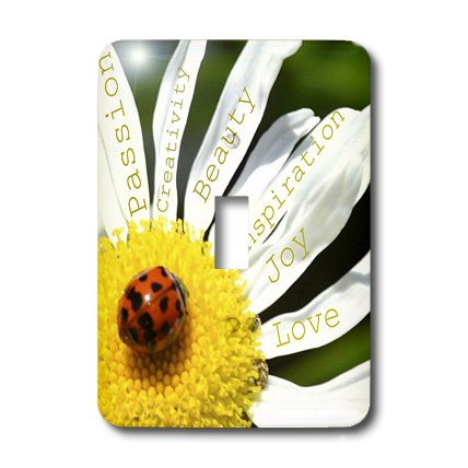 3dRose lsp_40136_1"Inspirational Words Ladybug On A Daisy- Affirmations- Flowers" Single Toggle Switch