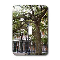 3dRose lsp_44930_1 Historic New Orleans Single Toggle Switch