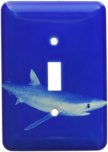 3dRose lsp_45861_1 Blue Shark.(Prionace Glauca).Catalina Channel, California Toggle Switch