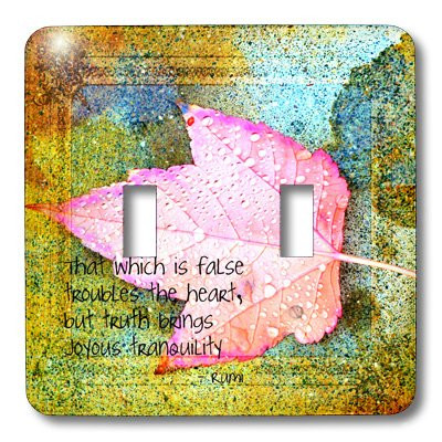 3dRose lsp_47299_2 Joyous Tranquility Leaf Inspirational Rumi Quote Double Toggle Switch