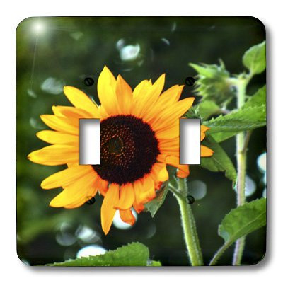 3dRose lsp_48787_2"Sunny Orange Sunflower - Double" Toggle Switch