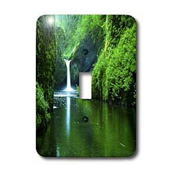 3dRose lsp_54163_1"Oregon Waterfall - Single" Toggle Switch