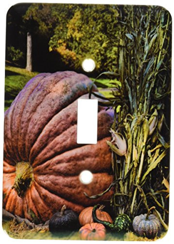 3dRose LLC lsp_55985_1 Fall Autumn Giant Pumpkin Halloween Single Toggle Switch