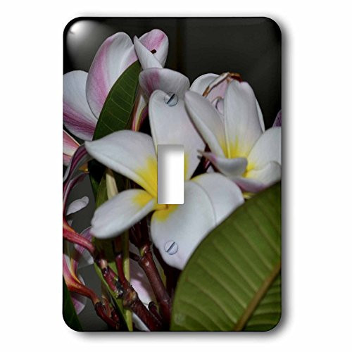 3dRose lsp_59180_1 Hawaiian Flowers Single Toggle Switch Not applicble