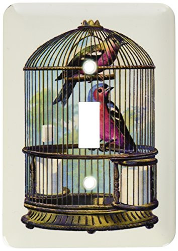 3dRose lsp_61863_1 Victorian Bird Cage With 2 Colorful Birds Single Toggle Switch