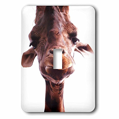 3dRose lsp_62416_1 Really Cute Giraffe Face Single Toggle Switch