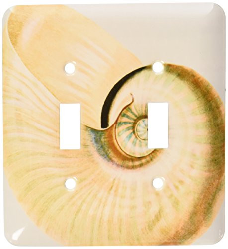 3dRose LLC lsp_63637_2 Beautiful White Seashell Beach Themed Art Double Toggle Switch