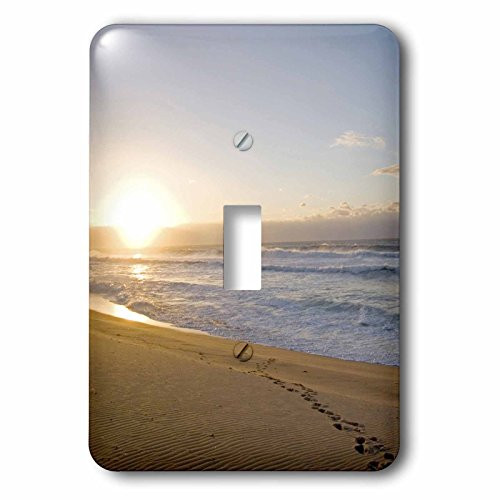 3dRose lsp_70021_1 Ansteys Beach, Durban, South Africa Single Toggle Switch