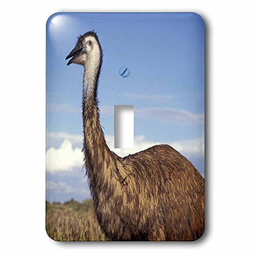 3dRose lsp_70321_1 Australia, Emu, Flightless Bird Single Toggle Switch