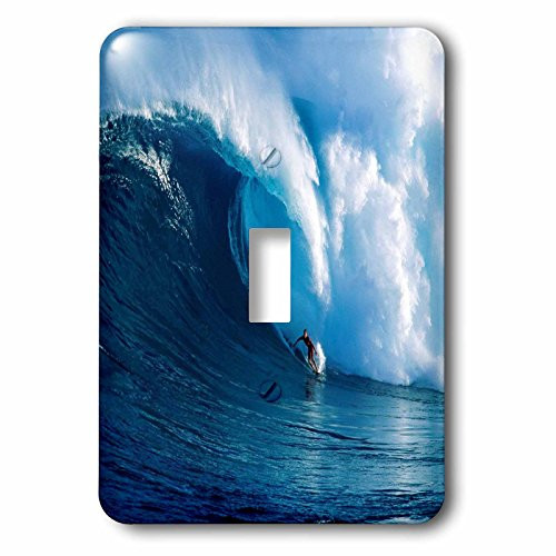3dRose lsp_80878_1 Surfing The Big One Single Toggle Switch