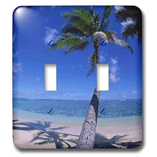 3dRose  lsp_84732_2 Beach with Palm Shadow Na04 Dpb0002 Douglas Peebles Double Toggle Switch