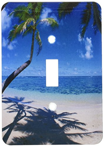3dRose LLC lsp_84733_1 Beach with Palm Shadow Na04 Dpb0003m Douglas Peebles Single Toggle Switch
