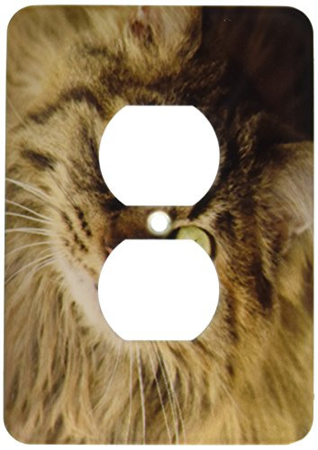 3dRose lsp_92674_6 Maine Coon Cat, Santa Fe, New Mexico Us32 Jmr0448 Julien Mcroberts 2 Plug Outlet Cover