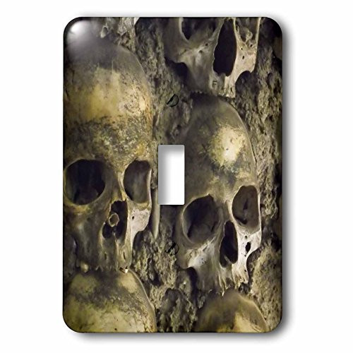 3dRose lsp_100285_1 Skulls, Chapel of Bones, Evora, Portugal Single Toggle Switch Multicolor