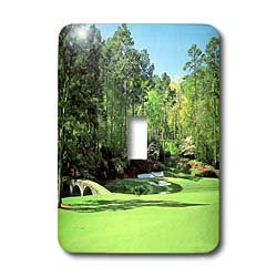 3dRose LLC lsp_100504_1 Photo of Augusta Georgia Golf Course Single Toggle Switch