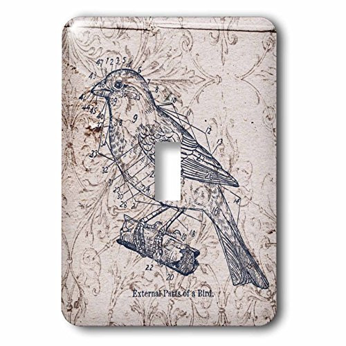 3dRose LLC lsp_110267_1 Vintage Birds with Diagram Steampunk Art Single Toggle Switch