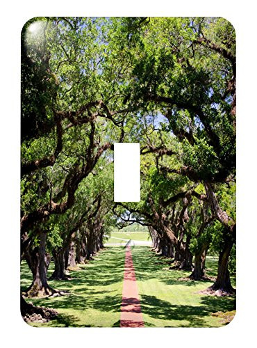 3dRose LSP_190343_1"Louisiana, New Orleans, Vacherie, Alley Plantation, Old Oak Trees Single Toggle Switch