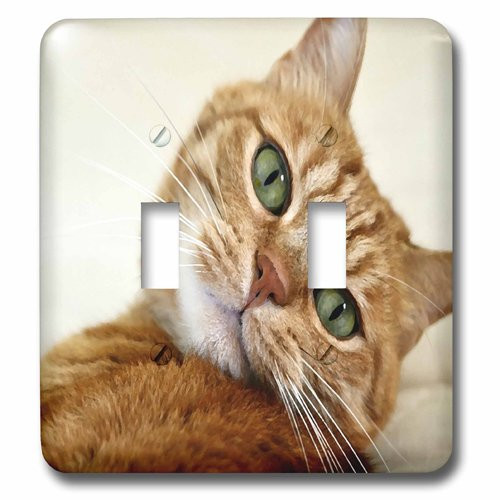 3dRose lsp_203883_2 Print of Orange Tabby Cat Painting - Double Toggle Switch