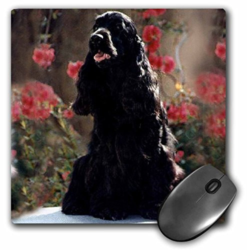 3dRose LLC 8 x 8 x 0.25 Inches Mouse Pad, English Cocker Spaniel Black (mp_1025_1)