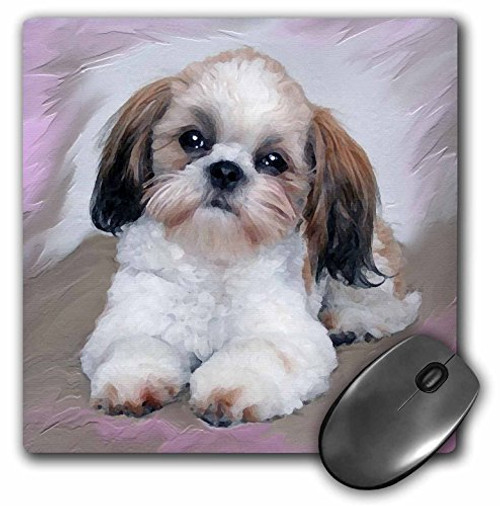 3dRose LLC 8 x 8 x 0.25 Inches Mouse Pad, Shih Tzu Puppy (mp_4807_1) 3dRose LLC 8 x 8 x 0.25 Inches Mouse Pad, Shih Tzu Puppy (mp_4807_1)