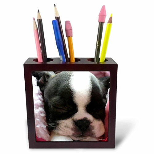 3dRose ph_22237_1 Boston terrier puppy Tile Pen Holder, 5-Inch