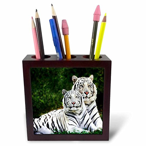 3dRose ph_54187_1 White Tigers Tile Pen Holder, 5-Inch