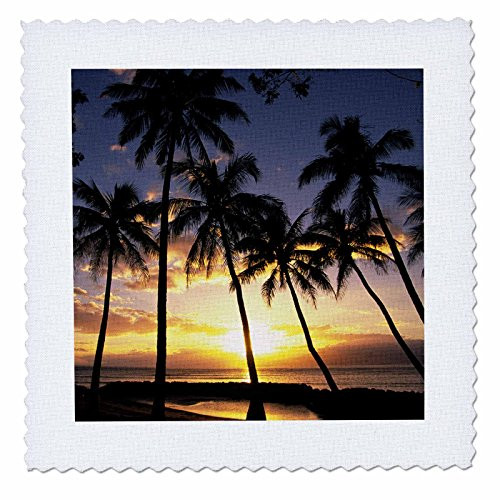 3dRose qs_89596_4 Sunset Lahaina Maui Hawaii - US12 DPB0436 - Douglas Peebles - Quilt Square, 12 by 12-Inch