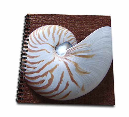 3dRose db_18986_1 Nautilus Shell II Drawing Book, 8 by 8-Inch